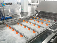 Commerciële apparatuur voor het wassen en reinigen van fruit en groenten, geschikt voor fruit- en groenteverwerkingsbedrijven