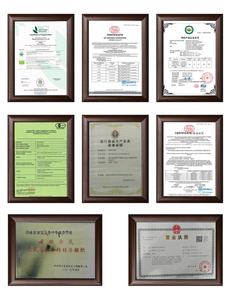 KAIYANGE ORGÁNICO Bai Hao Yin Zhen Té Blanco Imperial Aguja plateada de alta calidad Té chino de primavera hecho a mano Té saludable a granel - Product Image 5