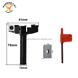 Fraise à rainurer Warrior's Bit 12 mm haute vitesse pour le travail du bois, 3 cannelures, gravure, fraisage, avec inserts remplaçables - Product Image 1