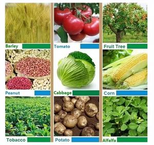 DAP (NH4)2HPO4ปุ๋ยไดแอมโมเนียมฟอสเฟต7783-28-0เม็ด - Product Image 5