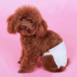 Tapis d'entraînement pour chiots anti-fuites, idéal pour l'apprentissage de la propreté des chiens sur l'herbe - Offre Spéciale - Product Image 6