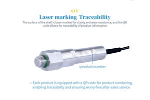 Transmetteur de pression CYYZ36A IP67 en acier inoxydable résistant aux chocs - Capteur de type boue résistant aux vibrations et à l'usure, personnalisé, 4-20 mA, liquide - Product Image 2