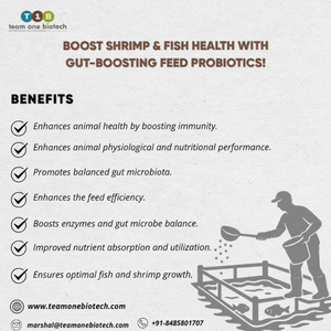 Aliment probiotique à base d'organes de poisson pour une agriculture durable - Product Image 1