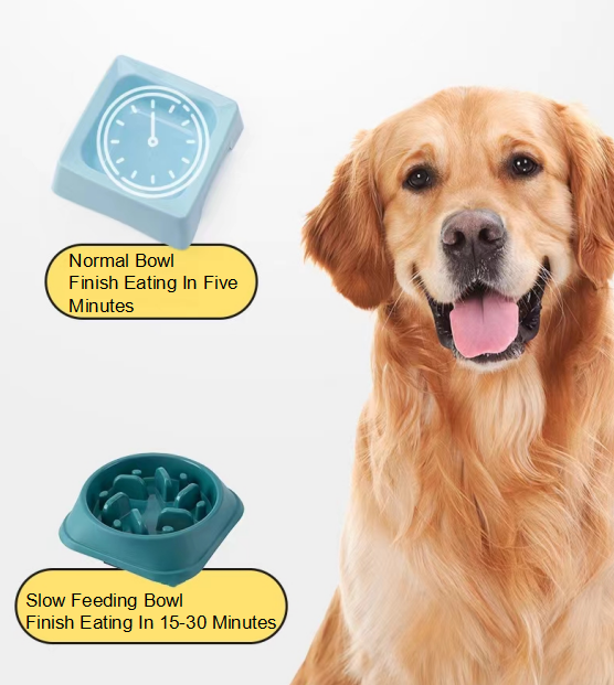 Wholesale High Quality Anti Choking Slow Feeder Dog Bowl Pet Slow Food Bowl For Dogs Eating