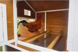 Açık ahşap kafesleri büyük tavuk run ev kafes ahşap tavuk kümesi - Product Image 3