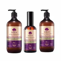 Private Label Pure Marokkaanse Biologische Beste Milde Arganolie Shampoo En Conditioner
