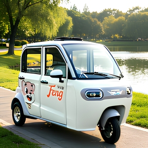 <span class=keywords><strong>Triciclo</strong></span> Eléctrico Pequeño Totalmente Cerrado, Vehículo Familiar de Baja Velocidad para Desplazamientos, Vehículo para Mujeres y Personas Mayores - Product Image 4