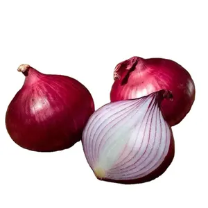 Wholesale fresh red onion Purple Onion White onion low price for hot sale