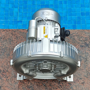 Vente en gros PIKES 50HZ 60HZ Pompe soufflante industrielle pour piscines Outils et accessoires de <span class=keywords><strong>piscine</strong></span> - Product Image 3