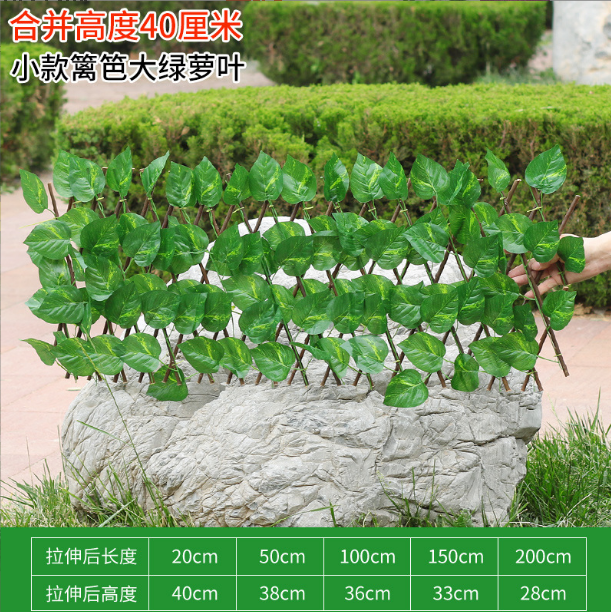 #4-40cm grande feuille