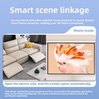 Contrôleur intelligent de moteur basse tension Yiweilian 7-32V marche/arrêt, modèle M12, WiFi 433MHz, commande vocale à distance par téléphone portable