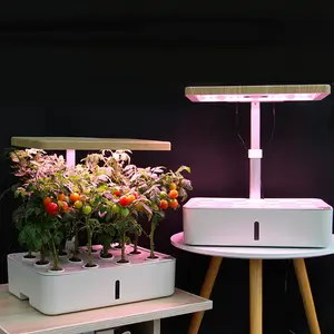 2020 New Arrival Indoor plants vertical farm box Hydroponic Sprout Growing Systems for vegetables