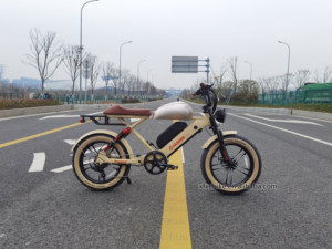 Vélo électrique à pneus larges à suspension intégrale 20 pouces, 48V 15Ah, double batterie, vélo électrique rapide <span class=keywords><strong>73</strong></span> - Product Image 2