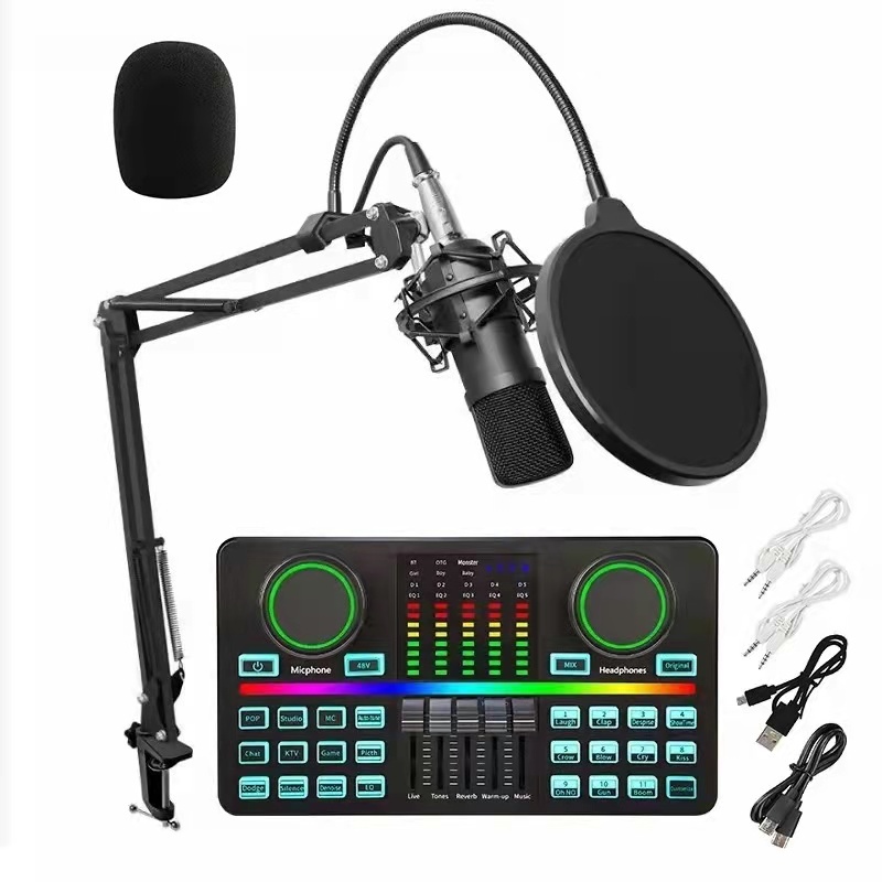 OEM Wired Studio Singing Recording Sound