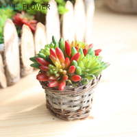 Décoration de plantes succulentes artificielles multifonctionnelles