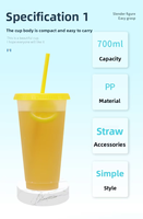 Gobelet en plastique PP écologique de 710 ml, transparent avec finition givrée, grande capacité, avec couvercles et pailles