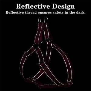 <span class=keywords><strong>Harness</strong></span> Hewan Peliharaan Reflektif Kustom, Dapat Disesuaikan, Anti-Larikan, Ringan, <span class=keywords><strong>Harness</strong></span> Jalan-Jalan Hewan Peliharaan, Webbing Latihan Hewan Peliharaan dari Nilon, Kustom Pabrik - Product Image 2