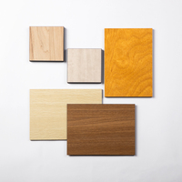 Panneau stratifié compact résistant à l'humidité, au feu, aux rayures et hygiénique, imitation bois DEBO, pour revêtement mural d'hôtel