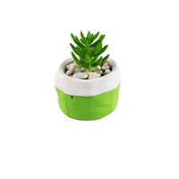 Vente flash : pots à fleurs succulentes classiques écologiques pour l'extérieur, jardinières rondes en ciment