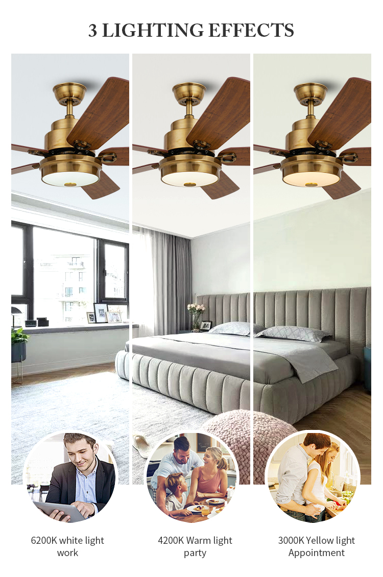 Breeze.lux Hot sale house decorative modern ceiling with fan