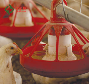 Nouveau produit phare U-BEST UBT-03 Abreuvoir automatique à tétine pour poulets en ferme avicole, en plastique, pour tuyau carré - Product Image 3