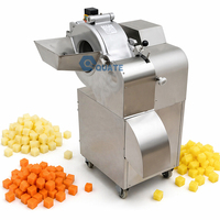 Industriële automatische groente- en fruit snijmachine voor uien, aardappelen, wortelen, aardbeien en paprika's.
