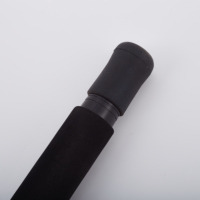 Canne à pêche de mer ultralégère, accessoire classique à tambour fixe, adapté à la pratique à la traîne, en bateau