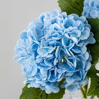 Bunga Hortensia Biru Lateks Sentuhan Nyata Berkualitas Tinggi untuk Dekorasi Pernikahan dan Rumah, untuk Hari Valentine dan Wisuda