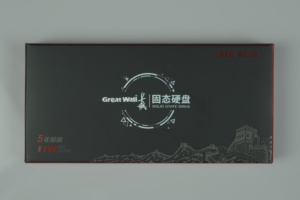 Great Wall GW1000 M.2 2280 SATA III SSD (NGFF) 128GB-2TB 3D NAND TLC Internal Solid State Drive untuk Desktop hingga 540MB/s Kecepatan Baca - Product Image 2