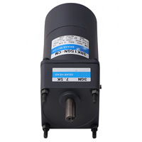 80mm 4RK25GN-CM Moteur à engrenages à induction AC monophasé 110V 120V 220V 230V 50Hz 60Hz 4P à couple élevé et bas régime 18 50 200 250 750