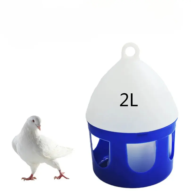 Carrier pigeon water dispenser supplies and utensils 1L Drinking kettle Pigeon set