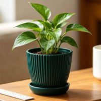 Petit pot de fleurs circulaire moderne en PP avec trous de drainage et plateau – Durable, capacité de 0,32 L pour la maison, le bureau, la terrasse – Décoration mignonne pour les succulentes