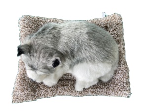 200g Best-seller Sac de charbon de bambou <span class=keywords><strong>d</strong></span>ésodorisant de voiture avec simulation de jouets en peluche animaux <span class=keywords><strong>d</strong></span>écoration de tableau de bord pour les voitures - Product Image 2