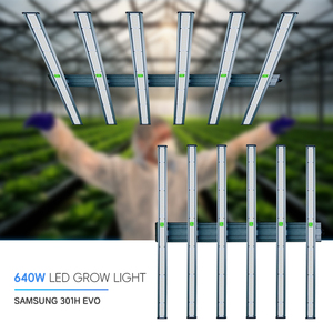 Lámpara LED de Cultivo de Espectro Completo de 640W 720W, Regulable, para Vegetales y Flores, en Existencia, para TH, EE. UU., Reino Unido, UE, AU, RU, <span class=keywords><strong>JP</strong></span> - Product Image 1