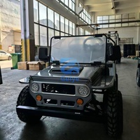 Véhicules d'occasion, Jeep 125cc, 150cc, 200cc, 300cc, mini jeep d'origine, mini jeep électrique pour enfants avec 2 sièges