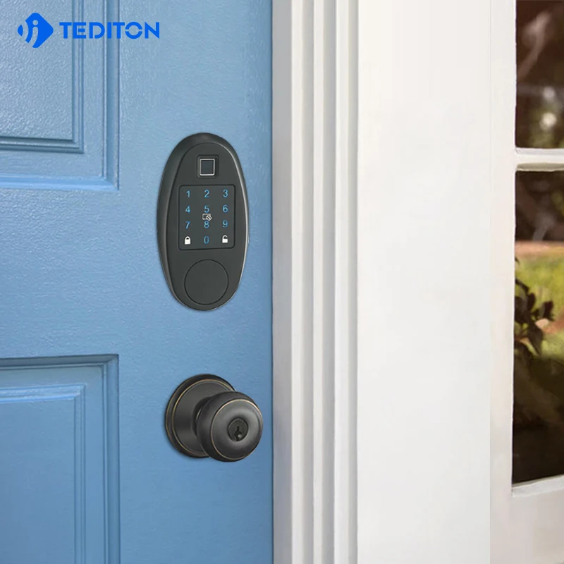 Security Electronic Password door locks with ttlock WiFI Biometric fingerprint smart digital lock door