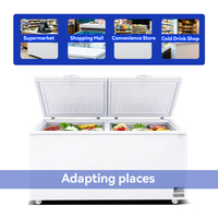 Congélateur horizontal commercial pour supermarché, grande capacité, porte pleine, avec verrou de sécurité, armoire de congélation pour aliments surgelés