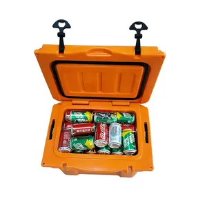 25L Portable Plastic Outdoor Camping Cooler Medical Vaccine Blood Transport Small Mini Ice Cooler Box Insulated Cooler