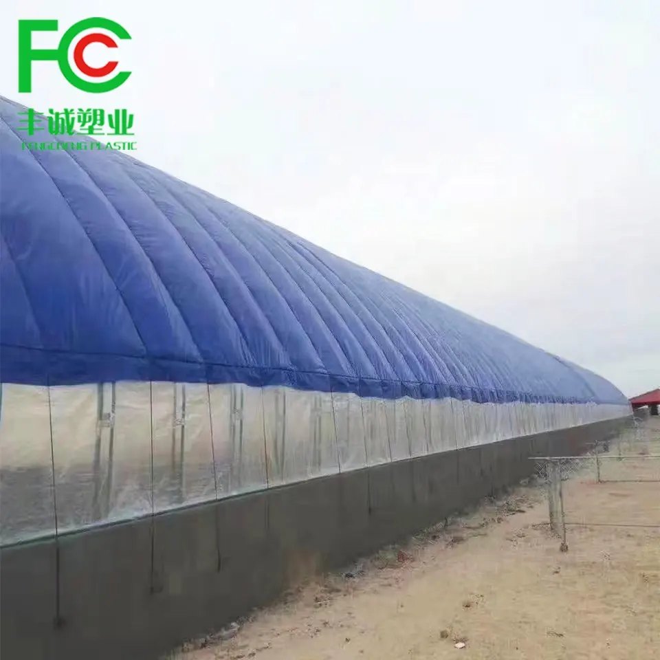 Wholesale 150G農業防水PE素材ブルー/シルバープラスチックメッシュターポリン温室カバー