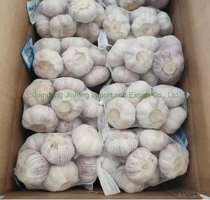 <span class=keywords><strong>Ajo</strong></span> Fresco Blanco Puro Chino de Primera Calidad, Saludable para Cocinar, Empacado en Bolsa de Malla para el Mercado - Product Image 5