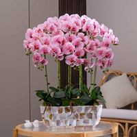 Plante d'orchidée artificielle en pot, fausse fleur de Phalaenopsis au toucher réel pour la décoration de la maison, des mariages, des hôtels, des restaurants et des bars