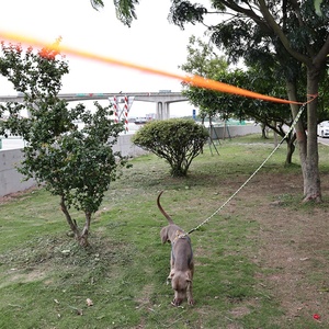 Manufacturer's 50FT 100FT Pet Leash for Small Large Dogs Reflective <b>Padded</b> Trolley System Runner for Outdoor Camping Yard Cats - Product Image 5