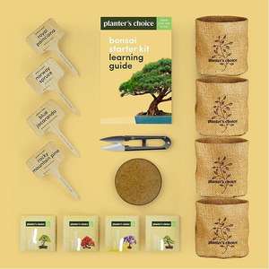 Idee regalo di natale insoliti regali di giardinaggio fai da te unici artigianato Kit per <span class=keywords><strong>Hobby</strong></span> giardino in crescita albero germinare Set Starter Kit Bonsai - Product Image 3