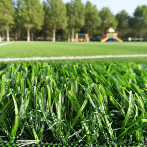 <span class=keywords><strong>Gazon</strong></span> artificiel <span class=keywords><strong>en</strong></span> PE, tapis de <span class=keywords><strong>gazon</strong></span>, tapis de sol, tapis de <span class=keywords><strong>gazon</strong></span> pour terrain de football - Product Image 1