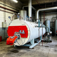 Caleçon de chauffage central à gaz et mazout Cwns avec brûleur combiné et contrôleur 1 MW