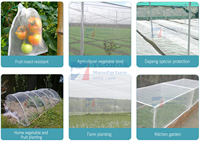 Witte Vlieg Tomaat Plant 50X50 Mesh Anti Tuin Tunnel Agrarische Insectengaas Voor Tuin Groenten Fruit Dadels