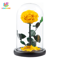 Hot verkopende Valentijnsdag/Moederdag cadeaus: geconserveerde roos in acryl cadeaudoos voor thuis/bruiloft decoratie bloem