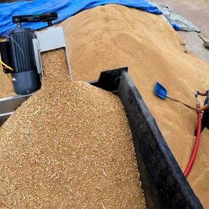 Transportador de Tornillo Sin Fin Ajustable Profesional, Mini Transportador de Tornillo Sinfín <span class=keywords><strong>para</strong></span> Granos en Venta - Product Image 6