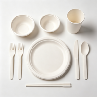 Assiette jetable en pulpe de bagasse robuste, résistante à l'huile, pour la restauration, les buffets et les commandes en gros