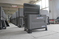 8000W Kommerzieller Multifuel-Stromerzeuger, Geräuscharm, CNG LNG LPG ATS Autostart, Pulverbeschichteter Stahl, Anpassbar 5000W 6KW 8KW